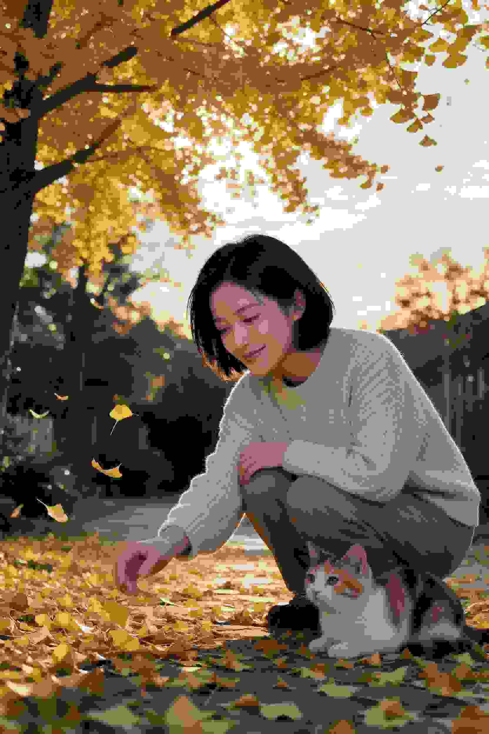 谍战迷云