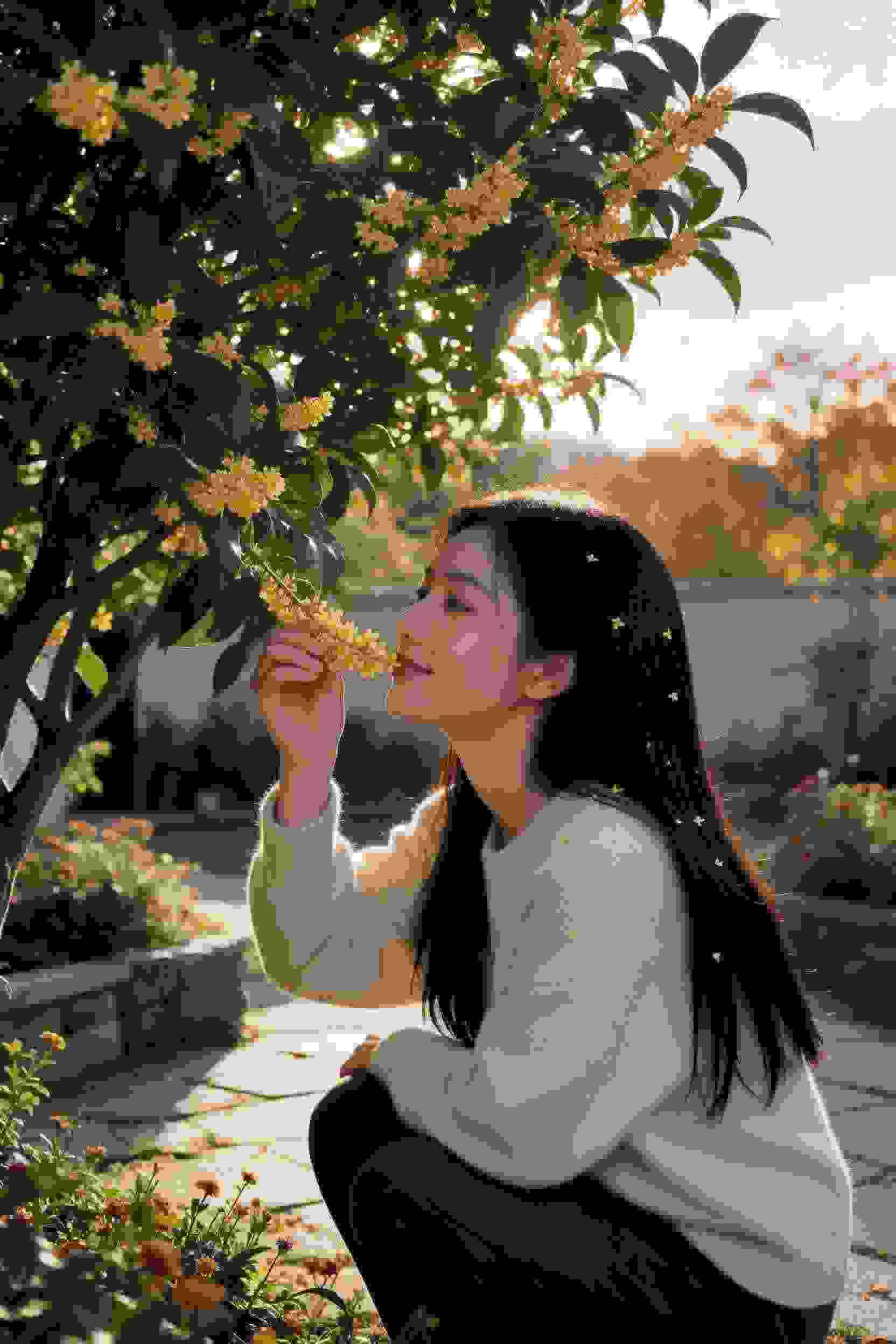 剑来苍穹